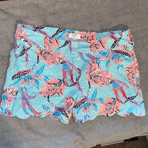 Crown and Ivy Shorts Petite 8P